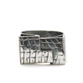Zuidas Ring