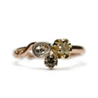 Ausländer Ring
