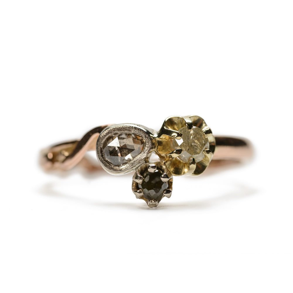 Ausländer Ring